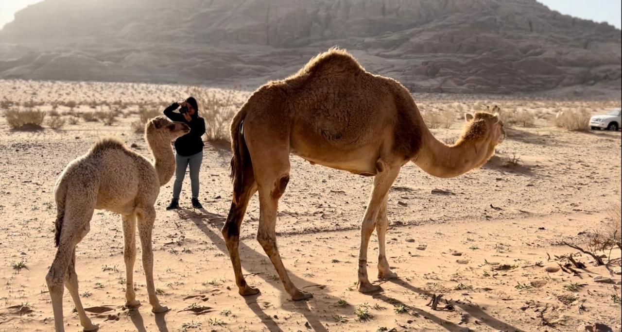 Wadi Rum Protected Area Camp Exterior foto