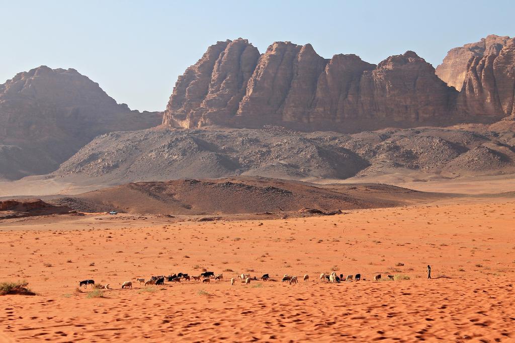 Wadi Rum Protected Area Camp Exterior foto