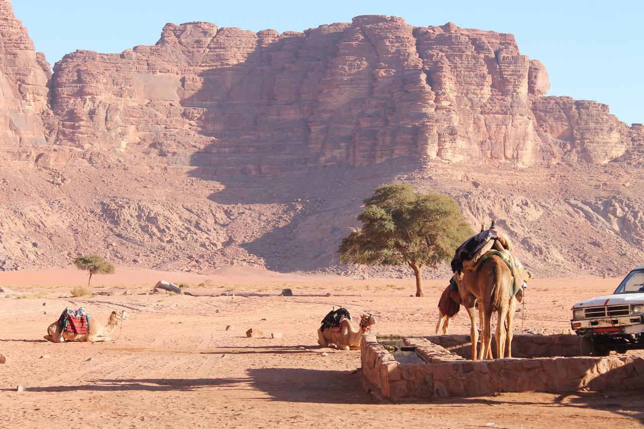 Wadi Rum Protected Area Camp Exterior foto