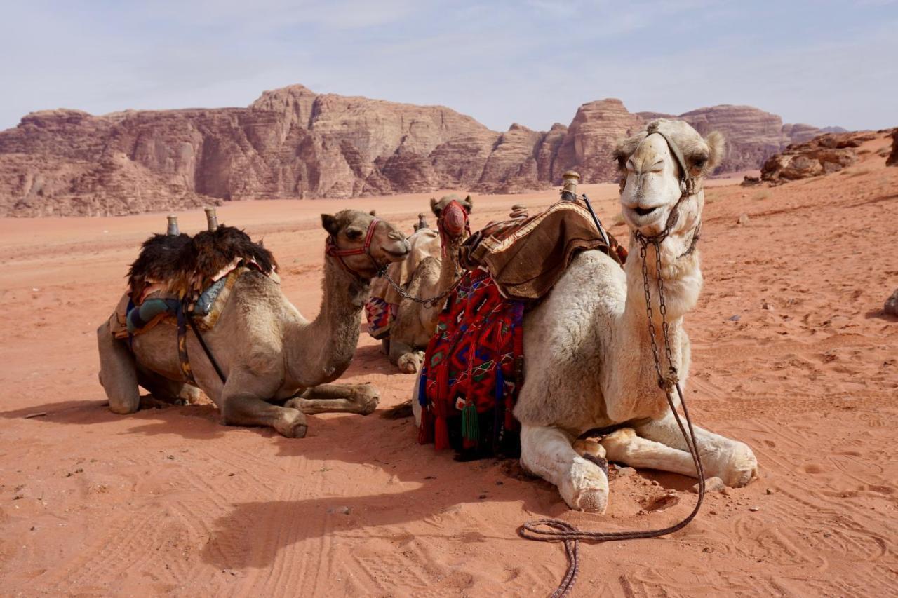 Wadi Rum Protected Area Camp Exterior foto