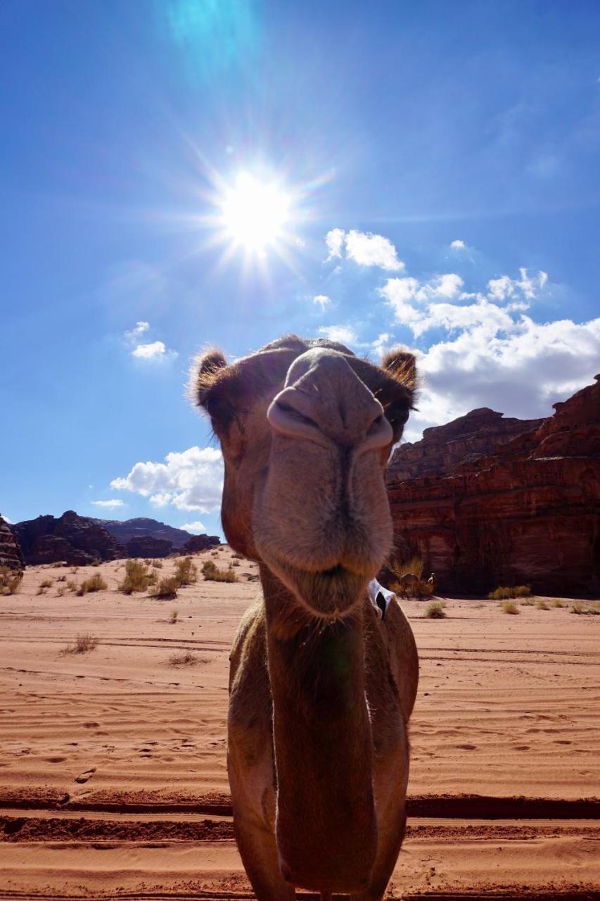 Wadi Rum Protected Area Camp Exterior foto