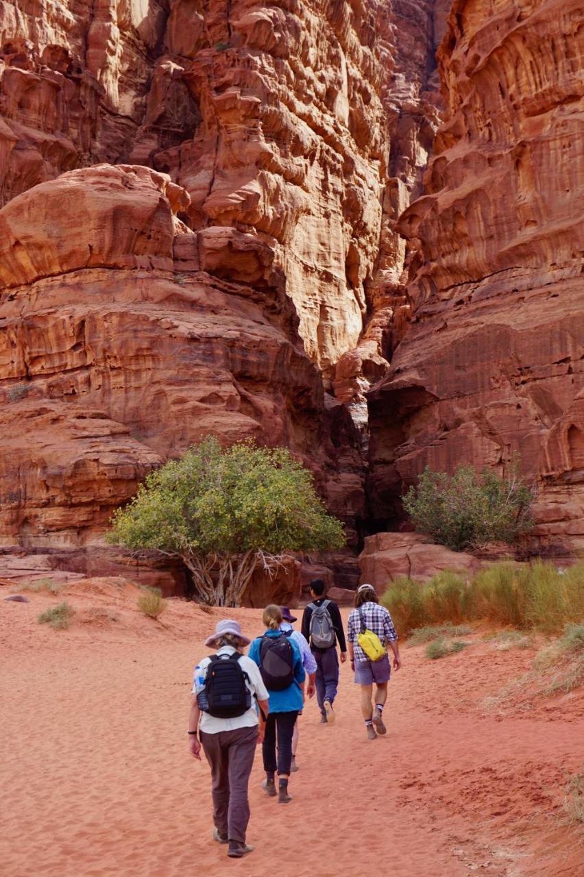 Wadi Rum Protected Area Camp Exterior foto